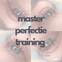 Master perfectie training